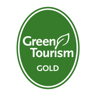 Sustainability Icon 1